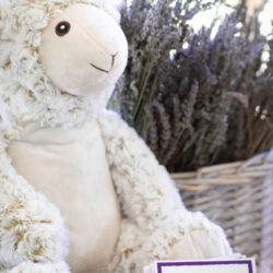 Lillie Lavender Lamb