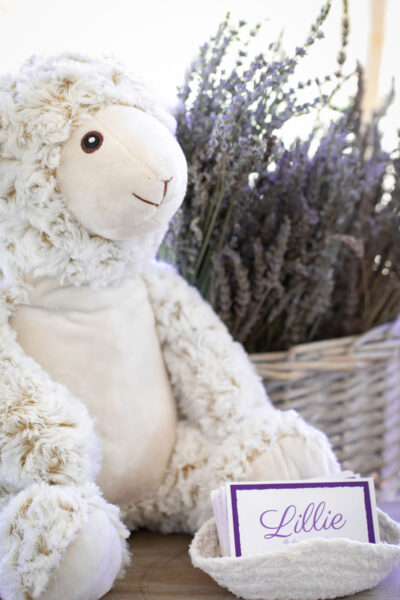 Lillie Lavender Lamb