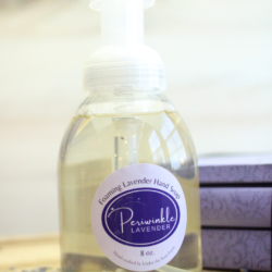 Foaming Hand Soap